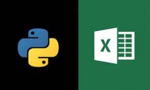 Python in Excel Models